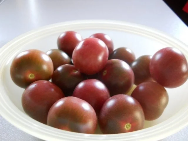 Rezept: Schweinefilet überbacken mit Rosmarinkartoffeln Bild Nr. 5 Schweinefilet überbacken mit Rosmarinkartoffeln - Rezept - Bild Nr. 5