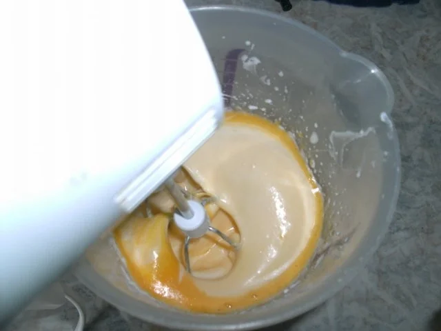 Rezept: Kokos-Eis Bild Nr. 6 Kokos-Eis - Rezept - Bild Nr. 6