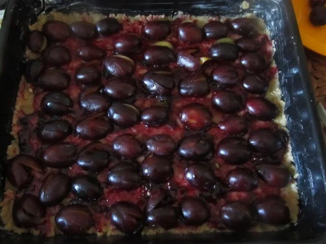 Rezept: Pflaumenkuchen mit weißen Schoko-Streuseln Bild Nr. 6 Pflaumenkuchen mit weißen Schoko-Streuseln - Rezept - Bild Nr. 6