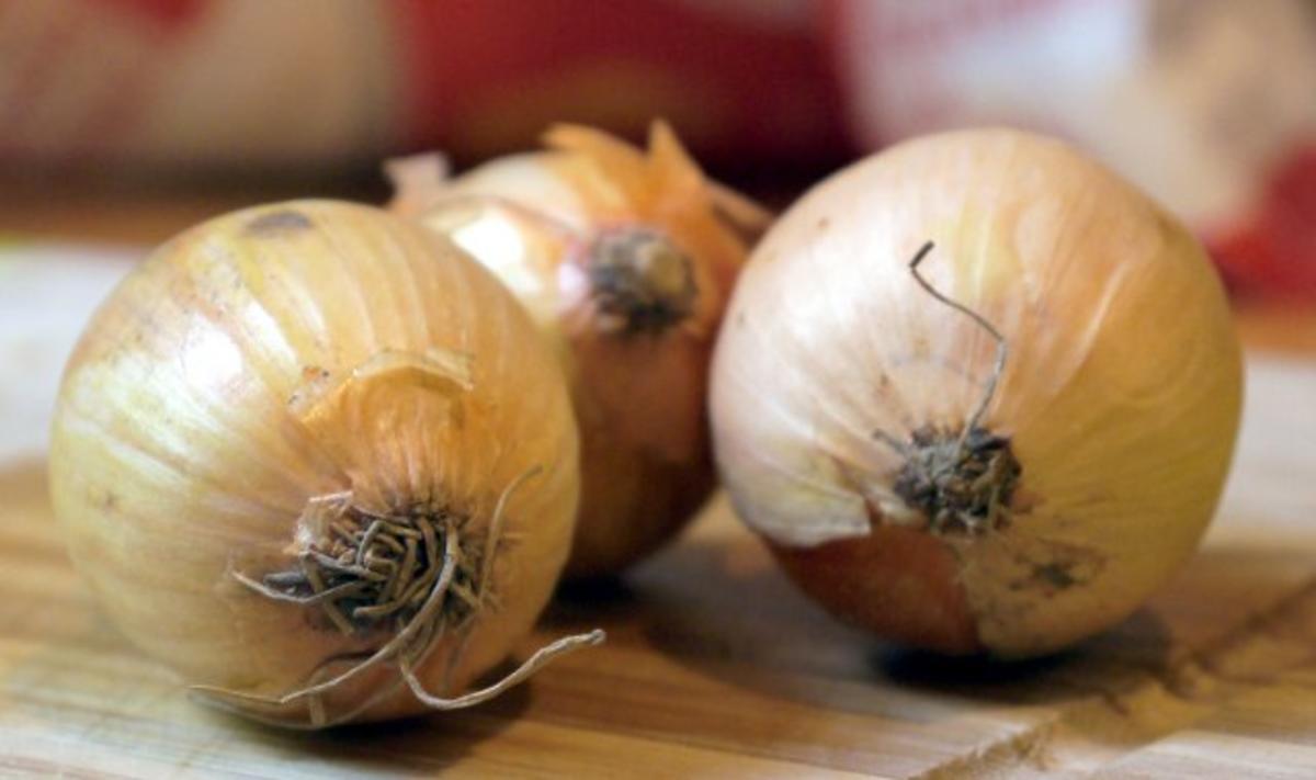 Gefüllte Champignons im Tomatenbett - Rezept - Bild Nr. 3