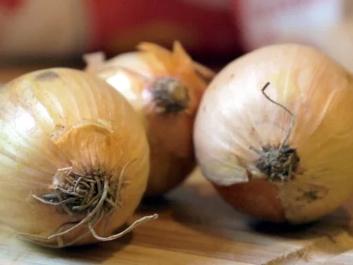 Gefüllte Champignons im Tomatenbett - Rezept - Bild Nr. 3