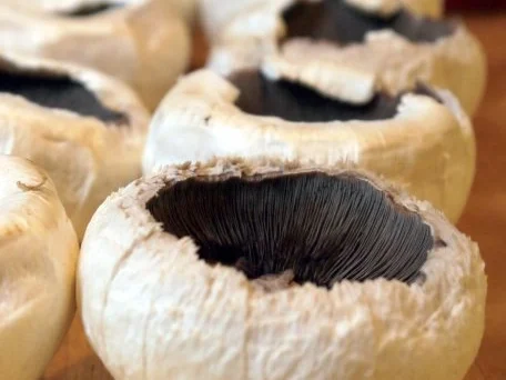 Gefüllte Champignons im Tomatenbett - Rezept - Bild Nr. 8