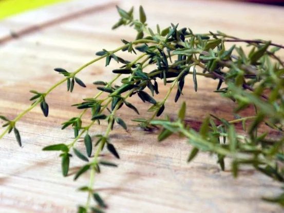 Gefüllte Champignons im Tomatenbett - Rezept - Bild Nr. 9