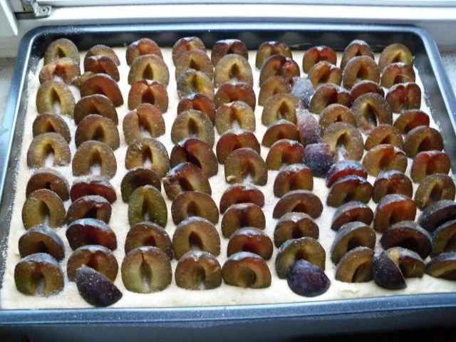 Pflaumen-/Zwetschgen-Kuchen "Lehmi" - Rezept - Bild Nr. 3