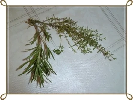 Schweinerippchen besonders zart und saftig. - Rezept - Bild Nr. 11