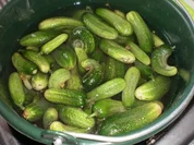 Gewürzgurken - selbst eingelegt - Rezept