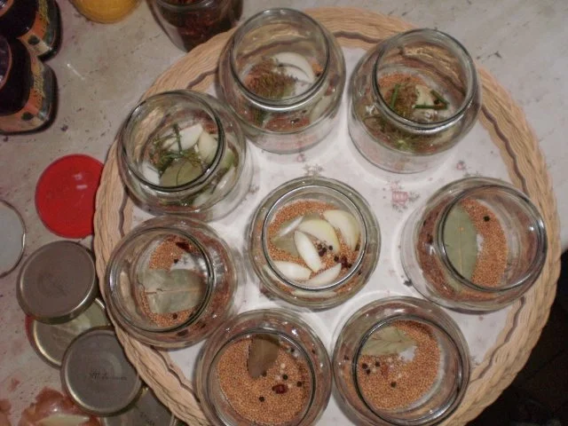 Rezept: Gewürzgurken - selbst eingelegt Bild Nr. 4 Gewürzgurken - selbst eingelegt - Rezept - Bild Nr. 4