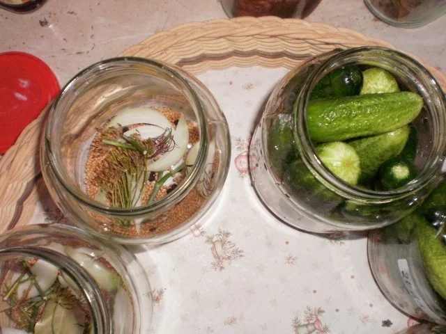 Rezept: Gewürzgurken - selbst eingelegt Bild Nr. 5 Gewürzgurken - selbst eingelegt - Rezept - Bild Nr. 5