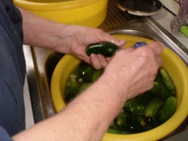 Rezept: Gewürzgurken - selbst eingelegt Bild Nr. 2 Gewürzgurken - selbst eingelegt - Rezept - Bild Nr. 2