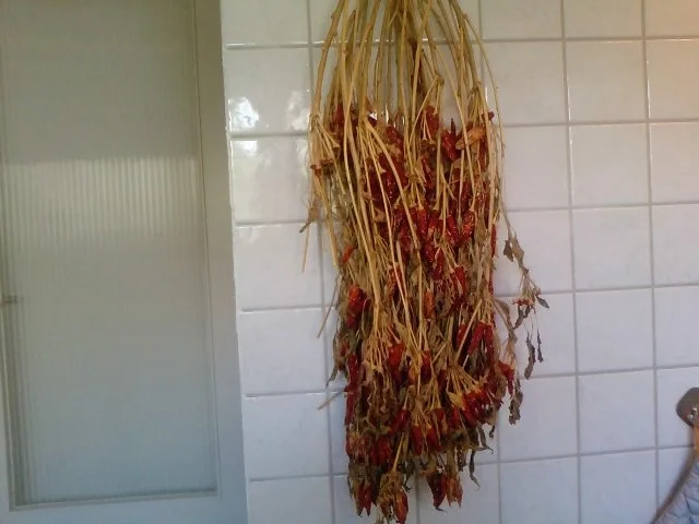 Olio Diavolo Part 3 Doppelt hot -- Explosione di Aroma - Rezept - Bild Nr. 2