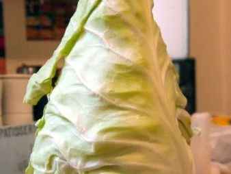 Spitzkohl mit würzigen Bouletten und Kartoffelpüree - Rezept - Bild Nr. 2