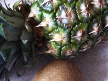 Exotischer Fruchtaufstrich - Rezept