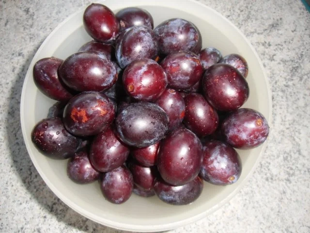 ♥  Quetschekuche ♥ - Rezept - Bild Nr. 16