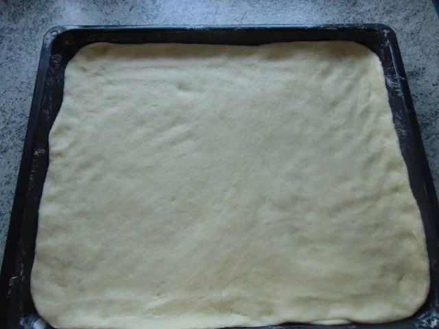 ♥  Quetschekuche ♥ - Rezept - Bild Nr. 15