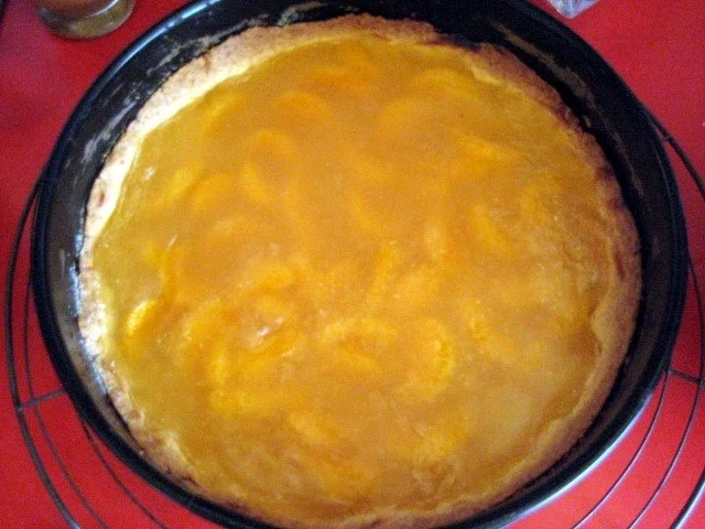 Sektkuchen mit Mandarinen - Rezept - Bild Nr. 12