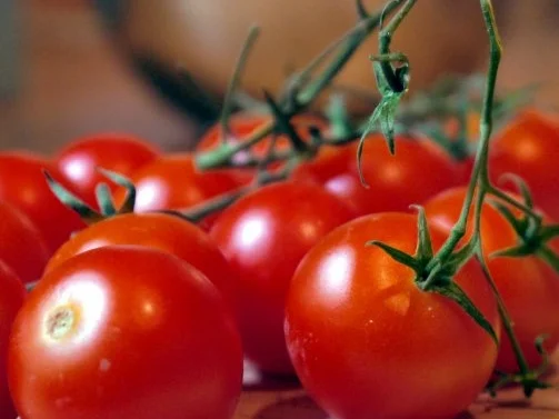 Spaghetti - Tomaten - Garnelen - Rezept - Bild Nr. 2
