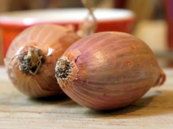Spaghetti - Tomaten - Garnelen - Rezept - Bild Nr. 5