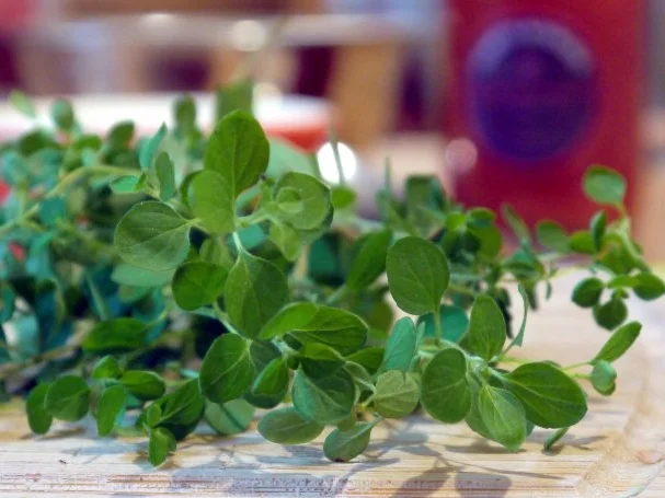 Spaghetti - Tomaten - Garnelen - Rezept - Bild Nr. 6