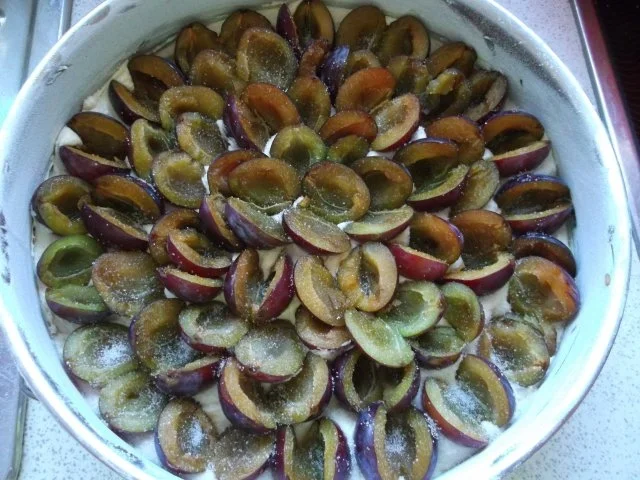 Rezept: Zwetschgenkuchen Bild Nr. 6 Zwetschgenkuchen - Rezept - Bild Nr. 6