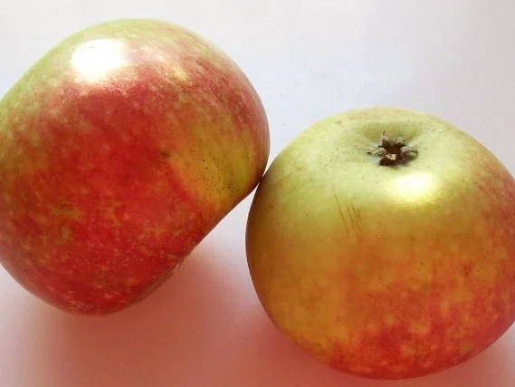 Einfaches Apfelkompott mit Zimt und Sultaninen - Rezept - Bild Nr. 2