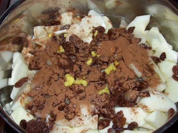 Einfaches Apfelkompott mit Zimt und Sultaninen - Rezept - Bild Nr. 3