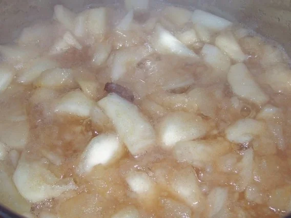 Einfaches Apfelkompott mit Zimt und Sultaninen - Rezept - Bild Nr. 4