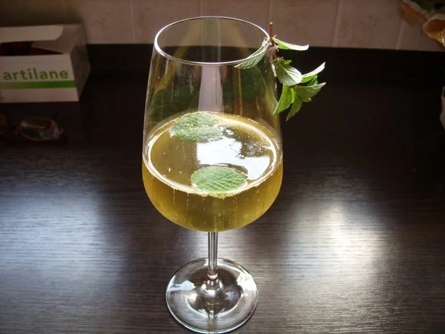 Drinks & Cocktails:  Hugo - Rezept