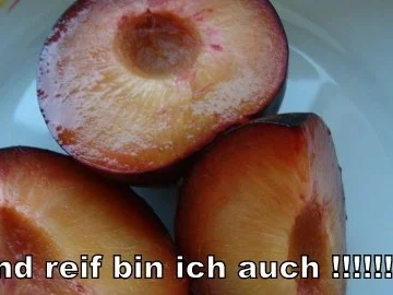 Pflaumenmus - Rezept - Bild Nr. 2