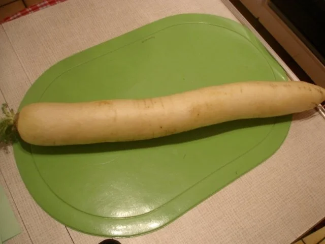 Radisalat - Rezept - Bild Nr. 2