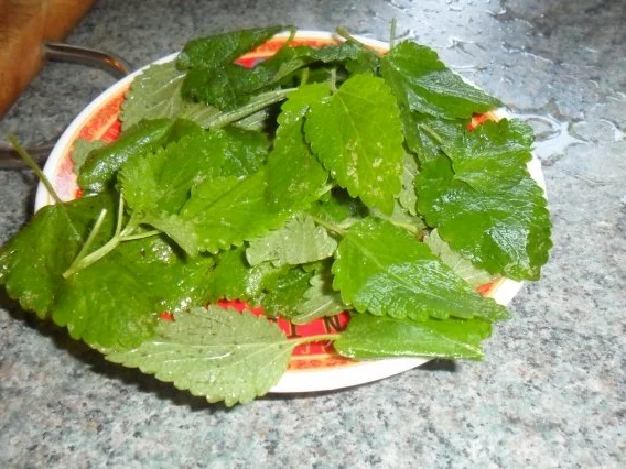 Rezept: heiss und kalt Bild Nr. 9 heiss und kalt - Rezept - Bild Nr. 9