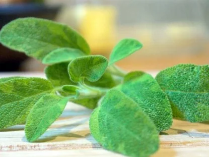 Kräuter-Nuggets - Rezept - Bild Nr. 3