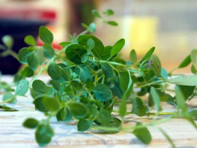 Kräuter-Nuggets - Rezept - Bild Nr. 4