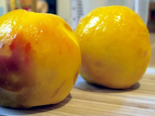 Pfirsich-Balsam - Rezept - Bild Nr. 3