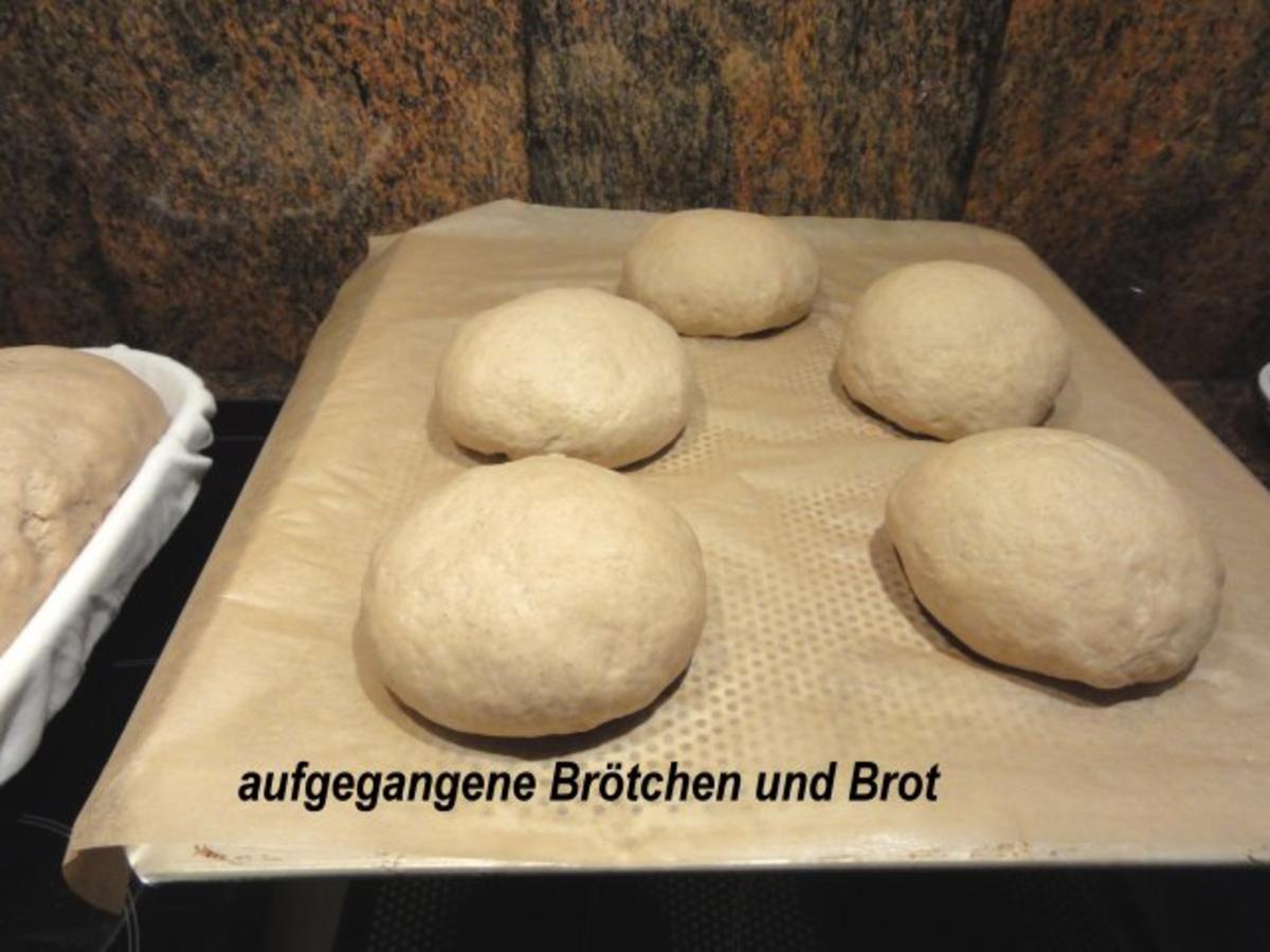 Brot:   ROGGENBROT + BRÖTCHEN selber backen - Rezept - Bild Nr. 6