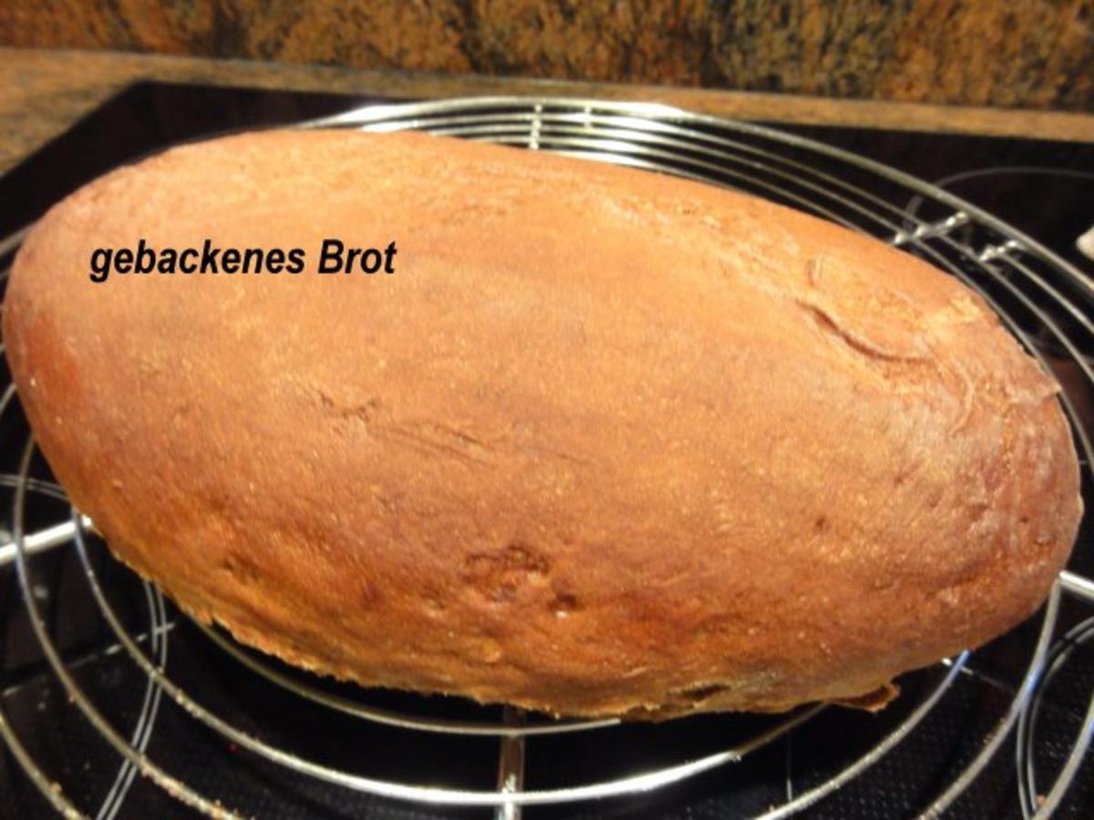 Brot:   ROGGENBROT + BRÖTCHEN selber backen - Rezept - Bild Nr. 8