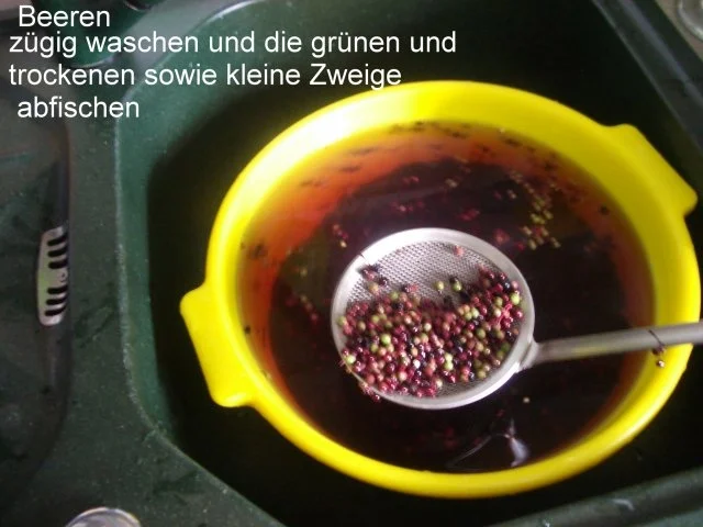 Rezept: Holunderbeeren -Variationen Bild Nr. 4 Holunderbeeren -Variationen - Rezept - Bild Nr. 4