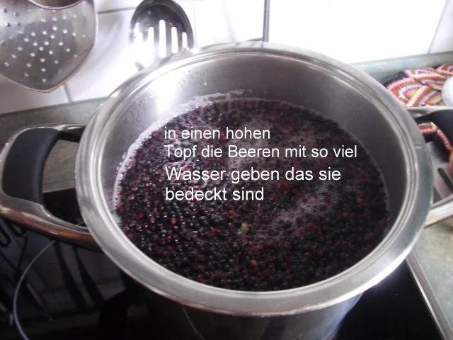 Rezept: Holunderbeeren -Variationen Bild Nr. 5 Holunderbeeren -Variationen - Rezept - Bild Nr. 5