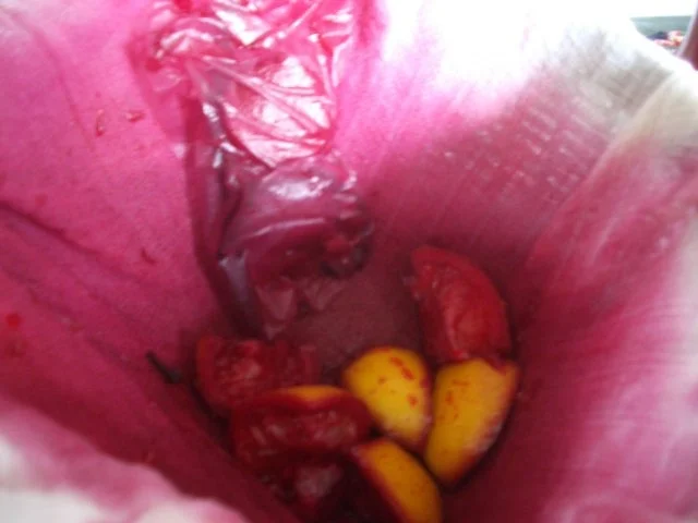 Rezept: Holunderbeeren -Variationen Bild Nr. 9 Holunderbeeren -Variationen - Rezept - Bild Nr. 9