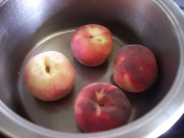 Rezept: Holunderbeeren -Variationen Bild Nr. 13 Holunderbeeren -Variationen - Rezept - Bild Nr. 13