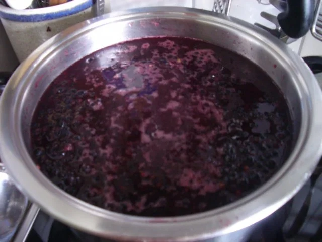 Rezept: Holunderbeeren -Variationen Bild Nr. 6 Holunderbeeren -Variationen - Rezept - Bild Nr. 6