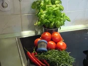 Tomaten-Chili -Aufstrich - Rezept