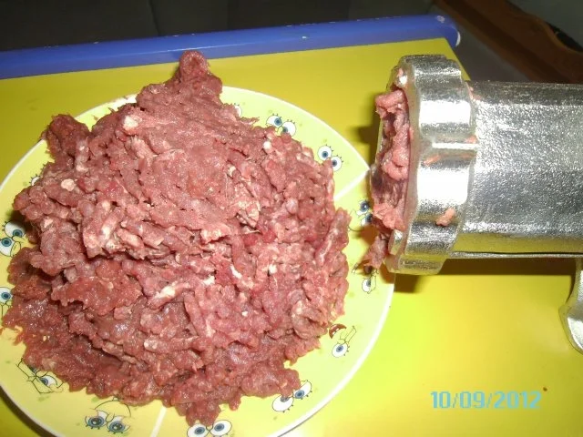 Fleischlaibchen vom Reh mit Beilage (je nach Lust und Laune) - Rezept - Bild Nr. 2