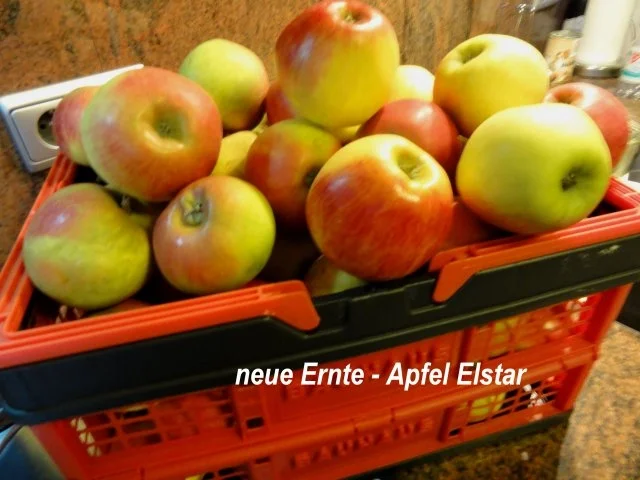 Rezept: Dessert: APFELKOMPOTT Bild Nr. 2 Dessert: APFELKOMPOTT - Rezept - Bild Nr. 2