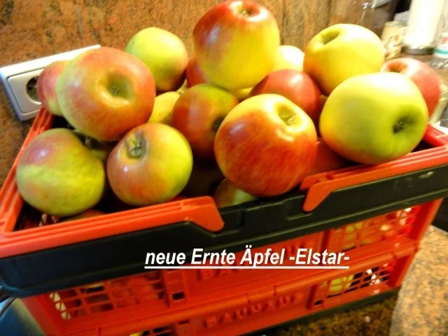 Obst:   APFELMUS ... Herstellung für den Vorrat - Rezept - Bild Nr. 2