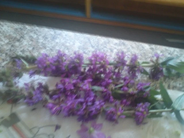 Wildblumenbutter - Rezept - Bild Nr. 2