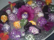 Bunte Frischkäsekugeln - Rezept