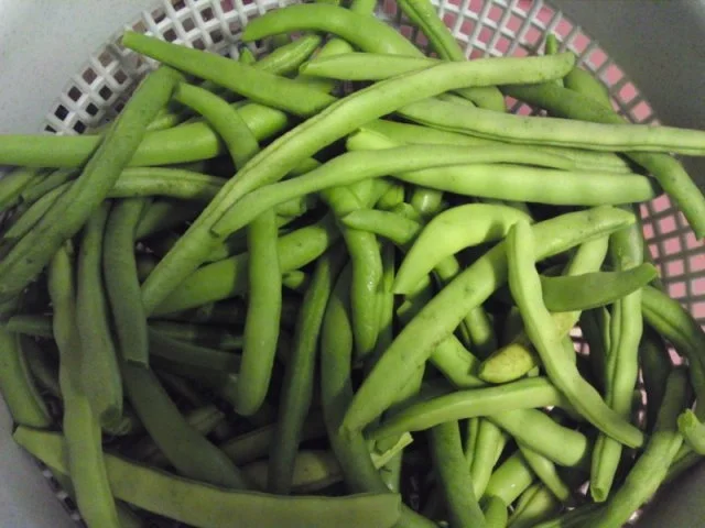 Speck mit Bohnen - Rezept