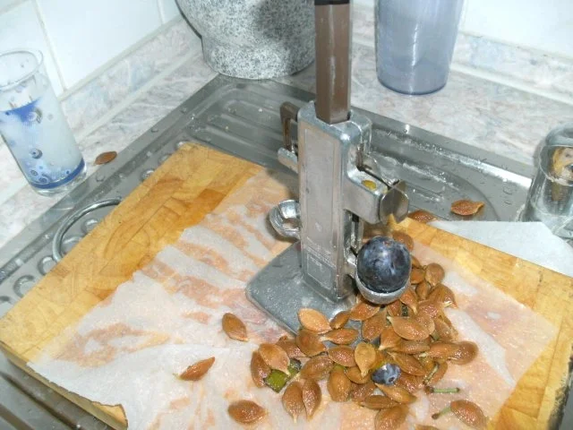 Bauschemer Kwetschekuche - eigene Ernte - - Rezept - Bild Nr. 9