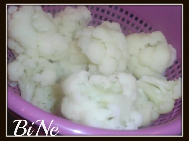 Rezept: BiNe` S GEMUESE - KARTOFFEL - GRATIN Bild Nr. 3 BiNe` S GEMUESE - KARTOFFEL - GRATIN - Rezept - Bild Nr. 3