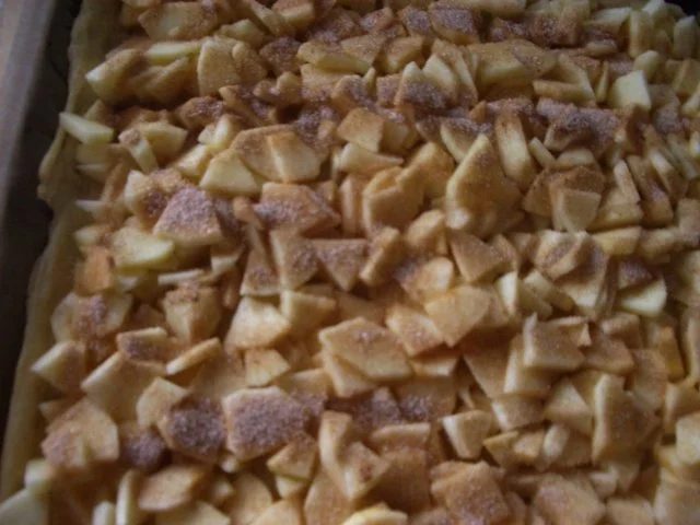 einfacher Apfelkuchen mit Hefeteig - Rezept - Bild Nr. 10